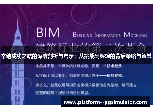 辛纳成功之路的深度剖析与启示：从挑战到辉煌的背后策略与智慧