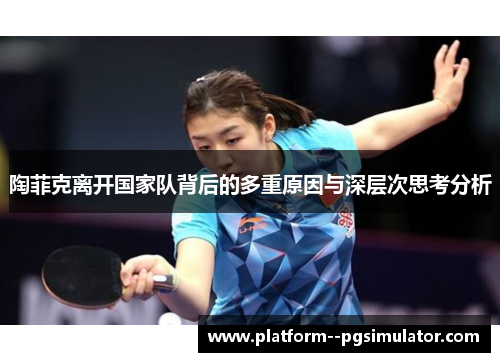 陶菲克离开国家队背后的多重原因与深层次思考分析