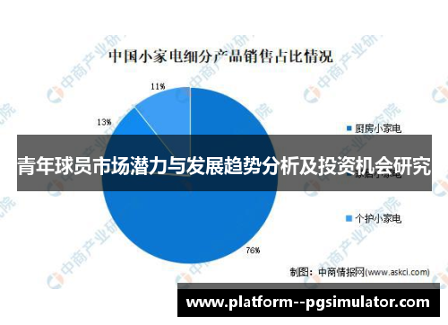 青年球员市场潜力与发展趋势分析及投资机会研究